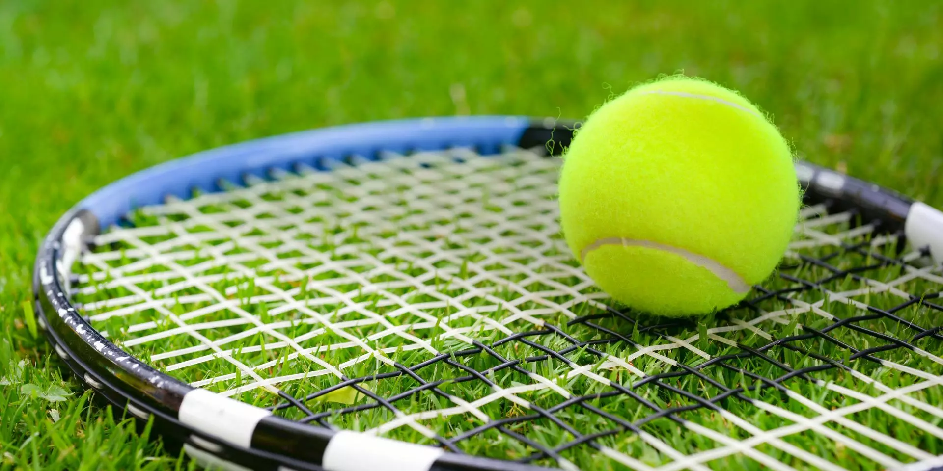 a tennis ball on a racket